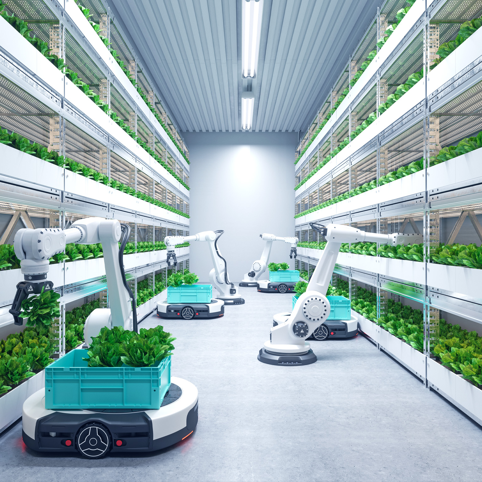 A modern vertical farm with rows of shelves filled with leafy green plants. Several automated robotic arms are seen harvesting the plants and placing them into turquoise crates on automated vehicles.