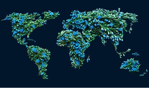 Roadmap to net zero: Who will pay for the $3.5 trillion transition?