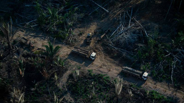 Stripe, Alphabet, Meta, Shopify and McKinsey to invest $925m in carbon removal technology