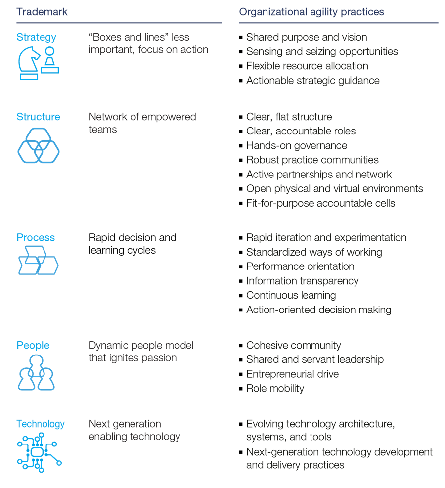 The five trademarks of agile organizations | McKinsey