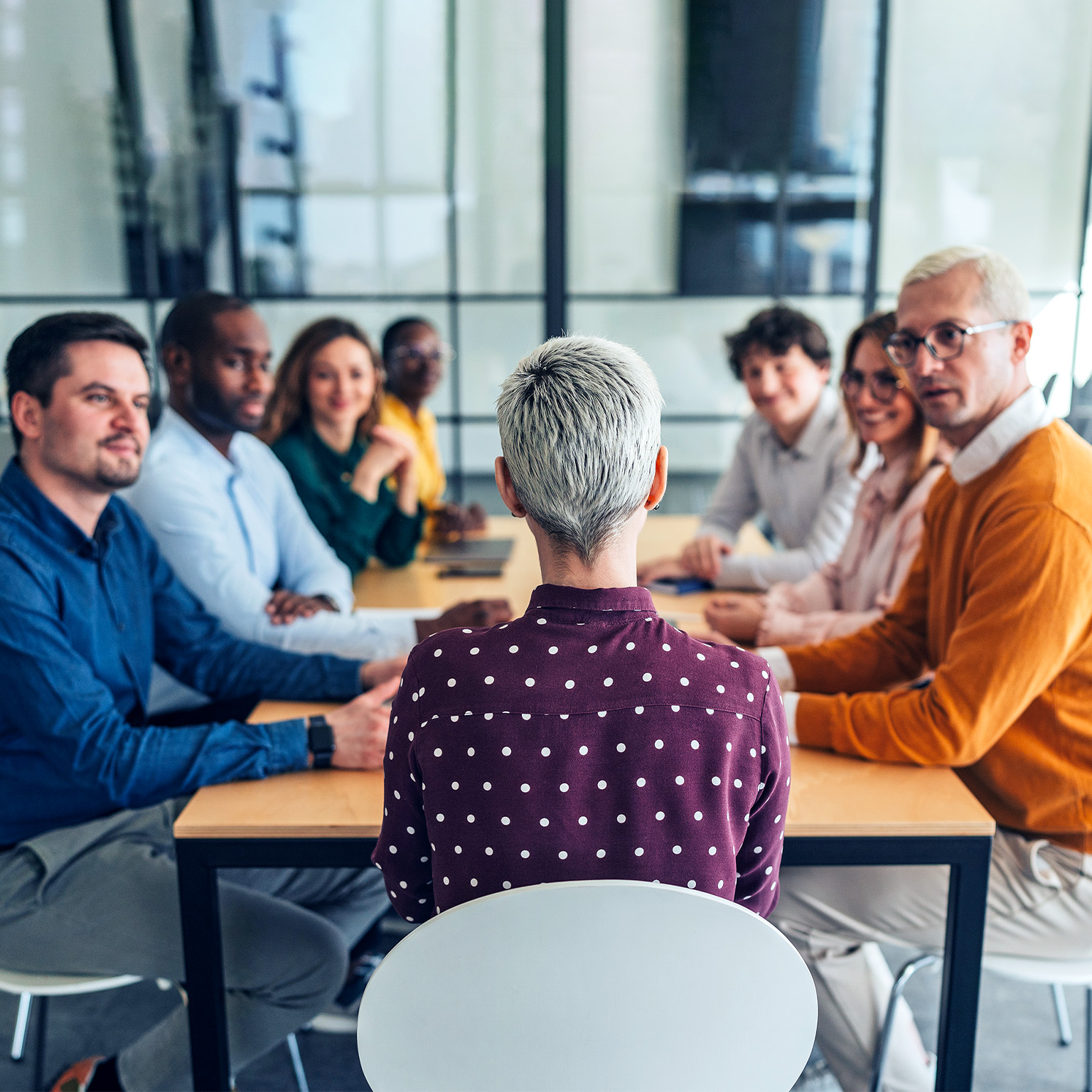 Image from behind of a woman with short gray hair, seated at a conference table, with a diverse group of professionals gathered around, looking at and intently listening to her.