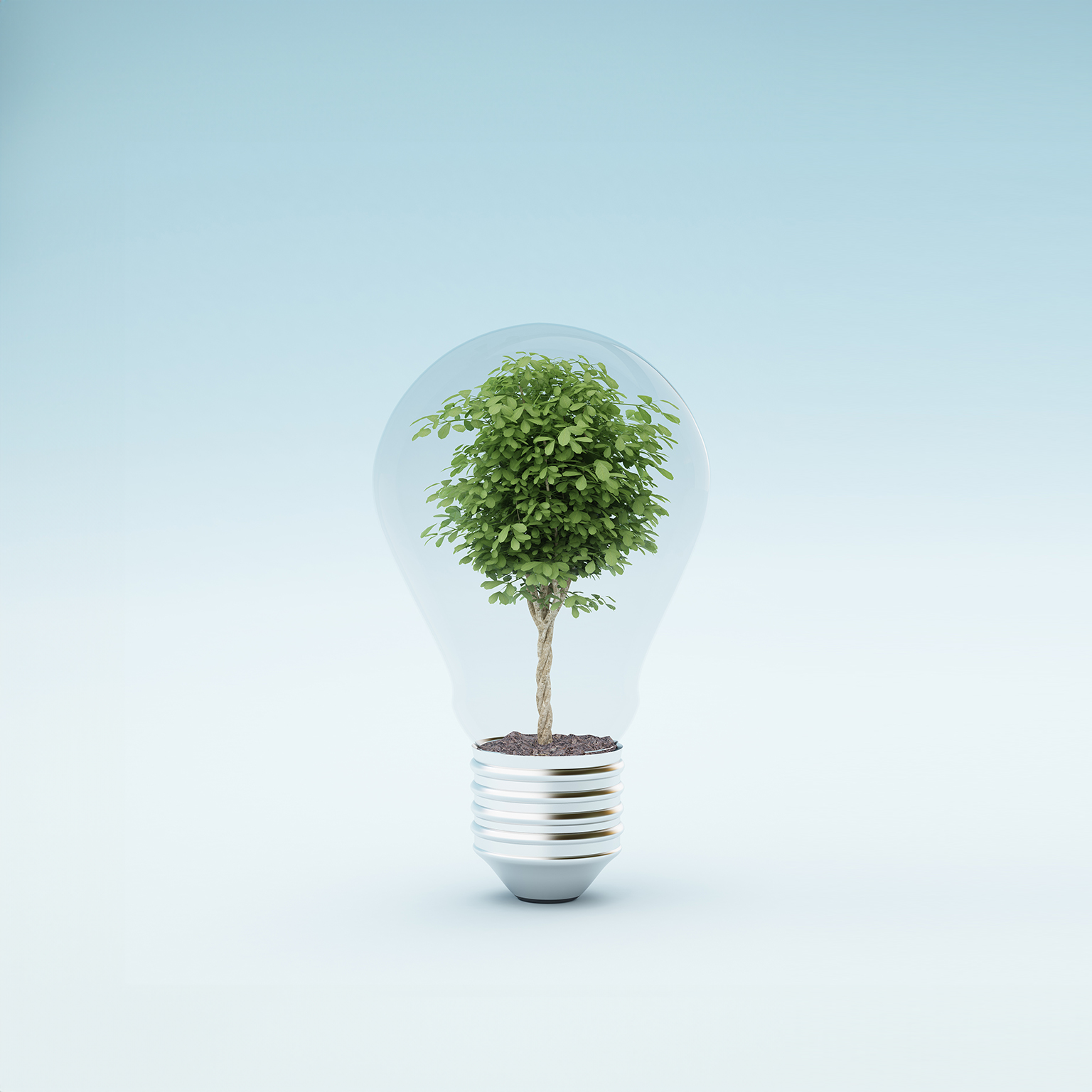 Light bulb with plant - stock photo