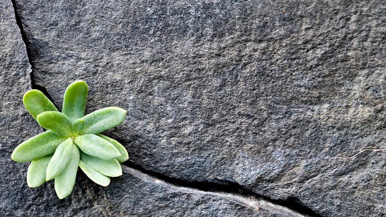 2021 Top picks: From recovery to growth