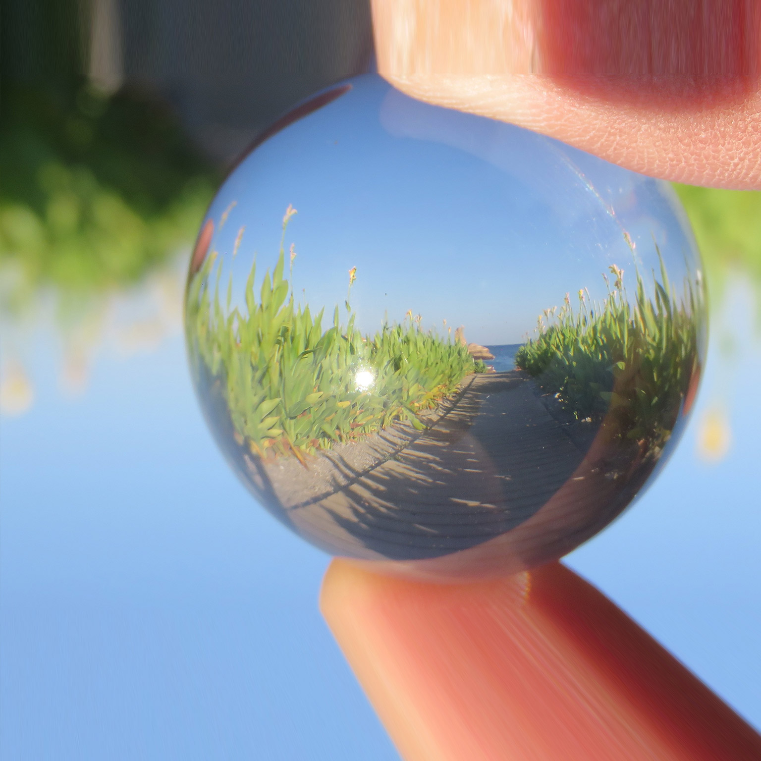 Commercial excellence: Your path to growth