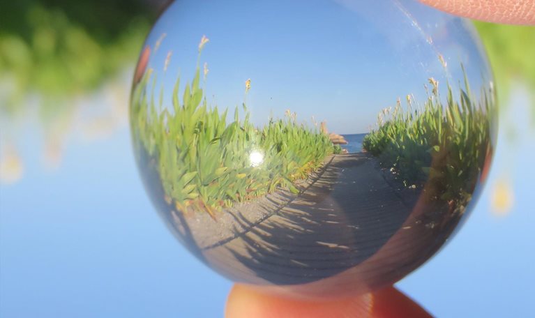 Commercial excellence: Your path to growth