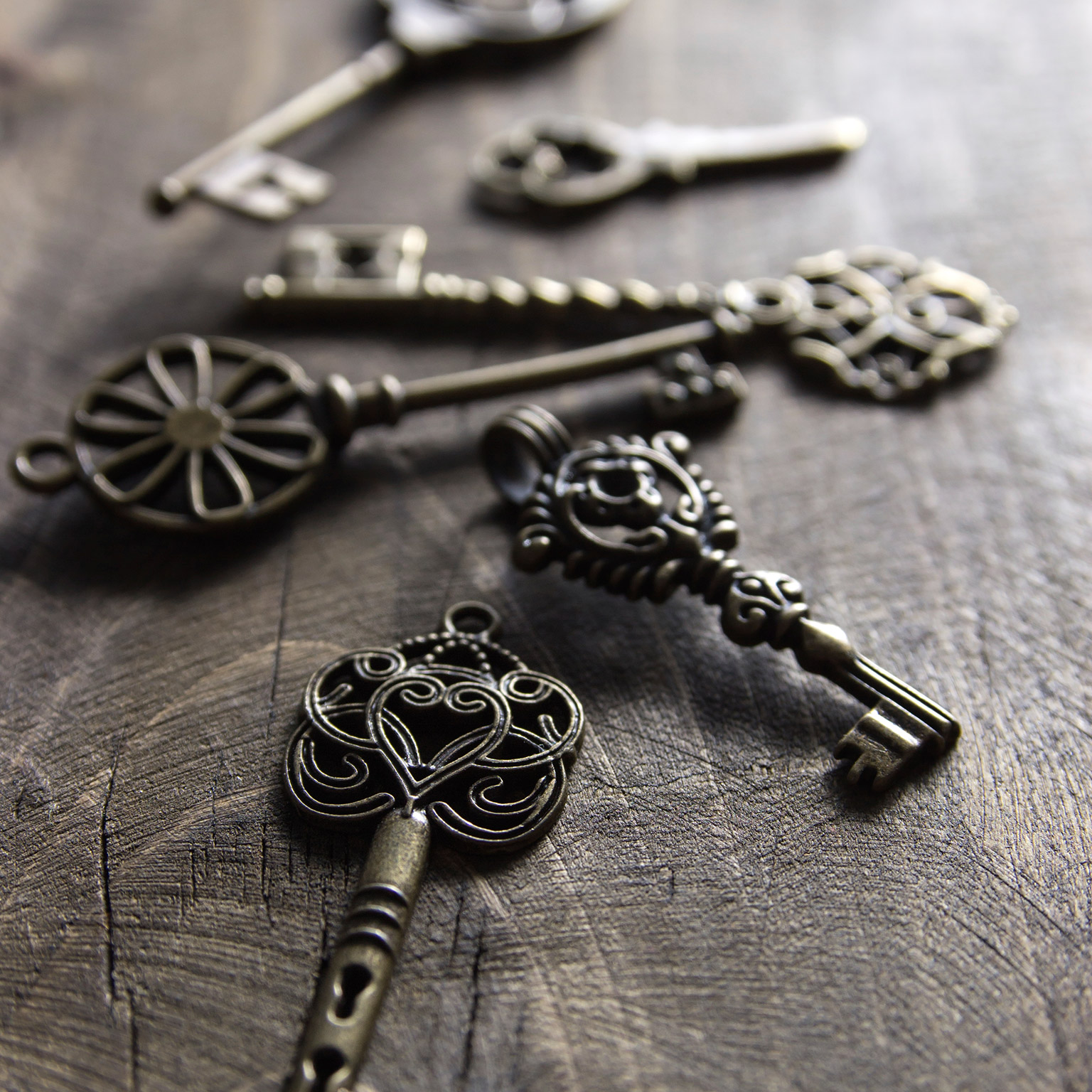 Image_hero-pricing-renaissance-app