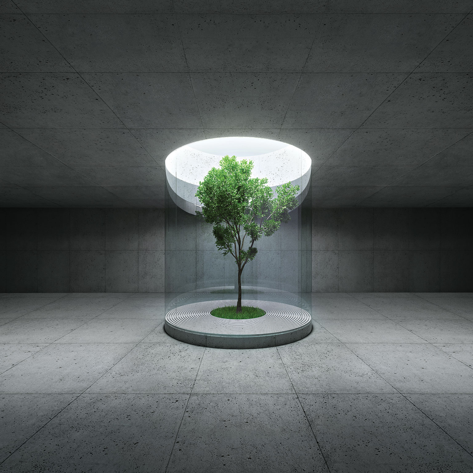 A digital-business builder: An interview with the CEO of Allianz Direct