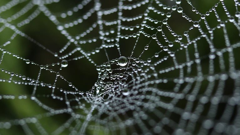 Management’s next frontier: Making the most of the ecosystem economy