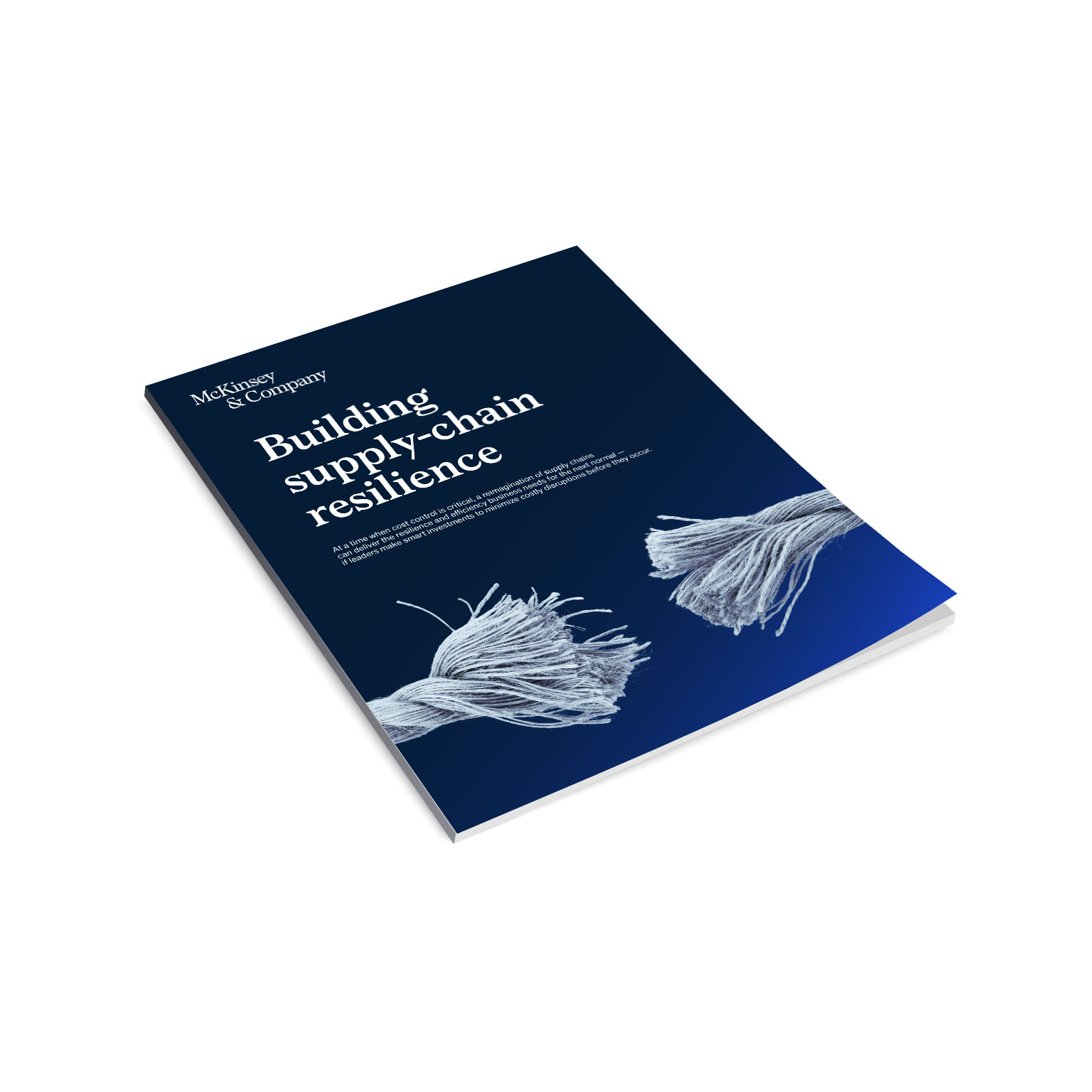 Building supply-chain resilience