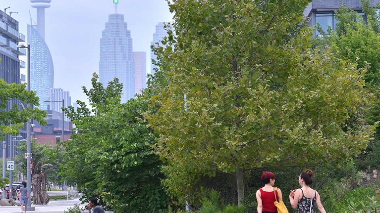 Dan Doctoroff on how we’ll realize the promise of urban innovation