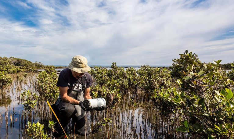 Scientist collecting a sediment core
