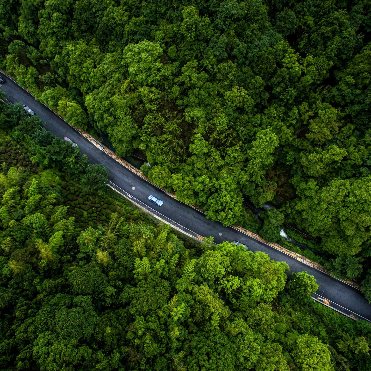 overhead photo of cars driving on road winding through forest