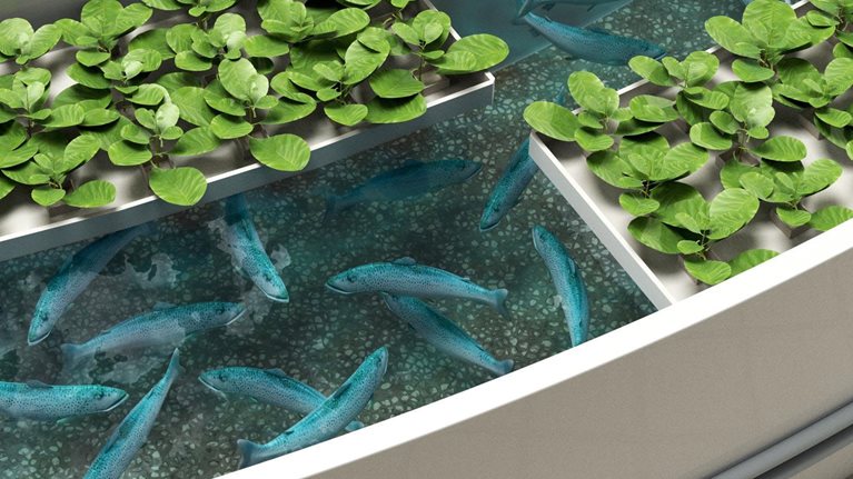 More_from_less_1536x1536_Original