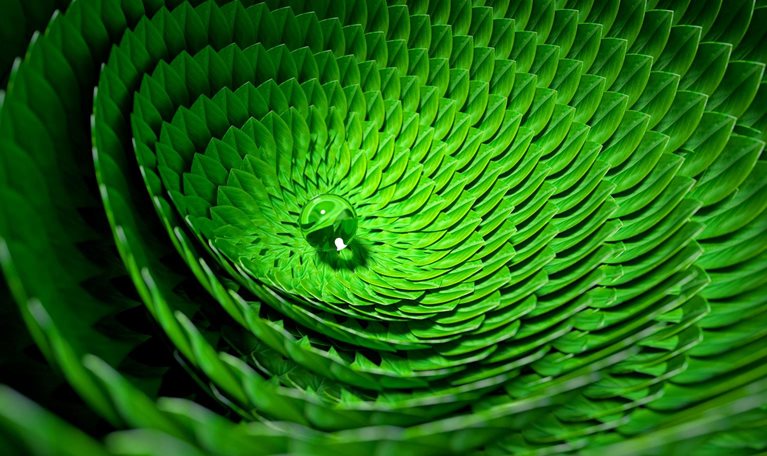 Organic circular pattern made out of green leaves with a dew drop at its center