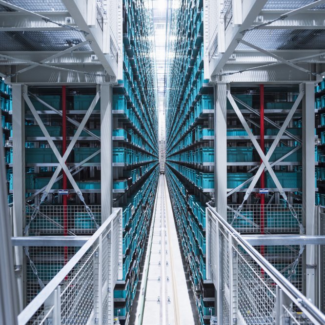 Image_7cd6cae6ce0fa78dff68a837aac2888657a38833