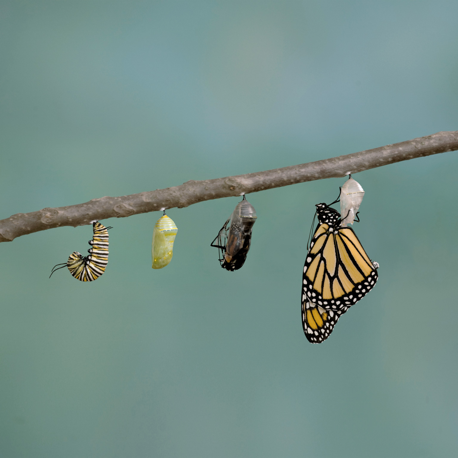 How do we manage the change journey?