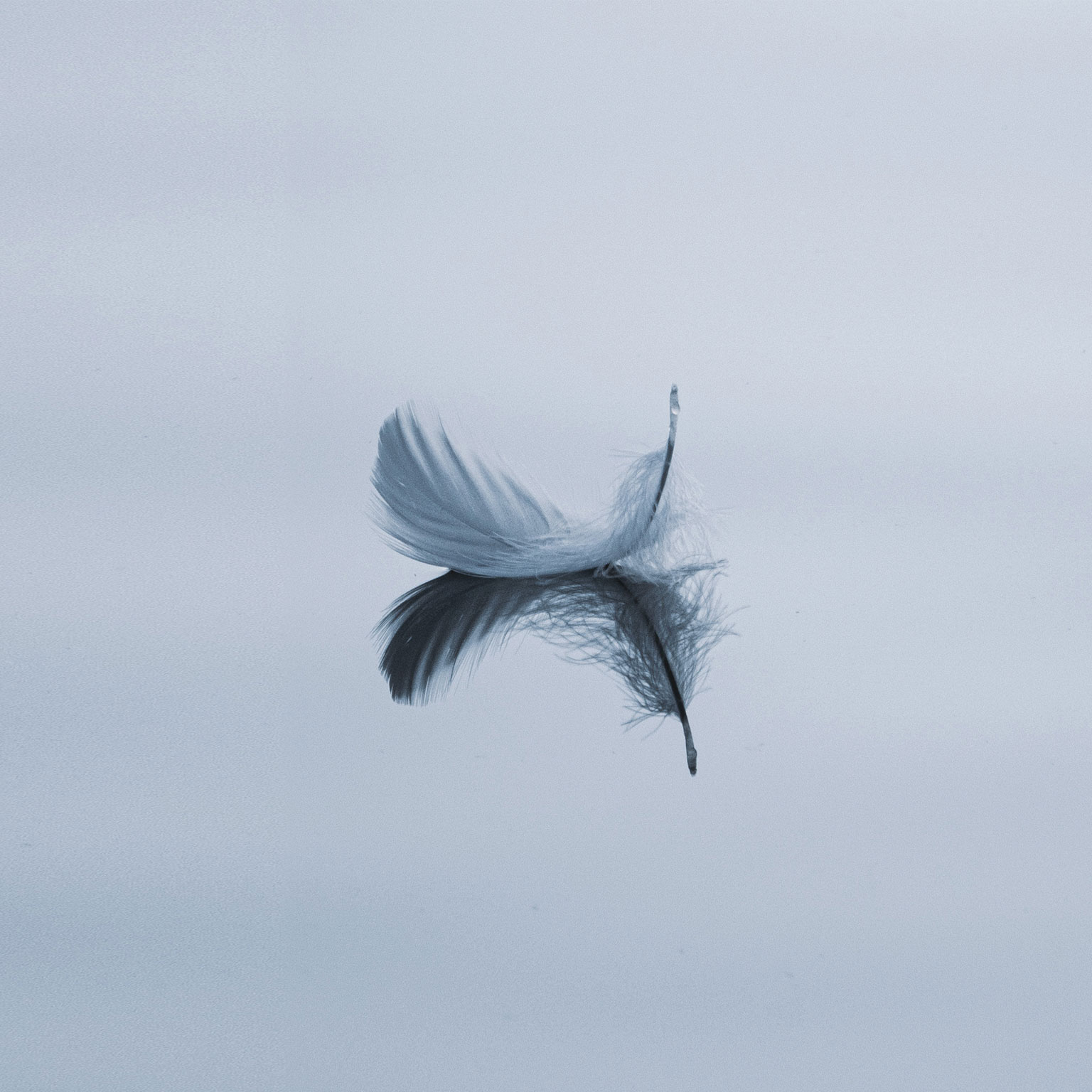 How to demonstrate calm and optimism in a crisis