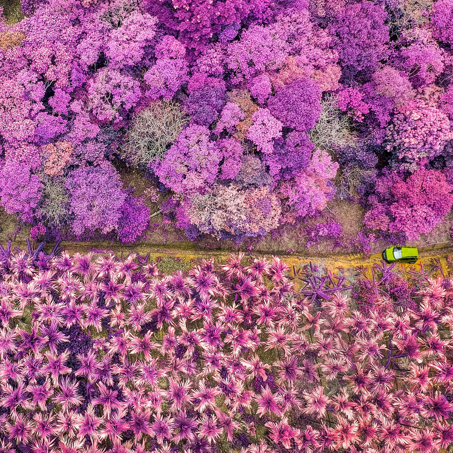 How to select and develop individuals for successful agile teams: A practical guide