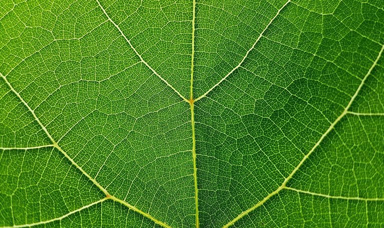 Six “power practices” to retain nonprofit talent