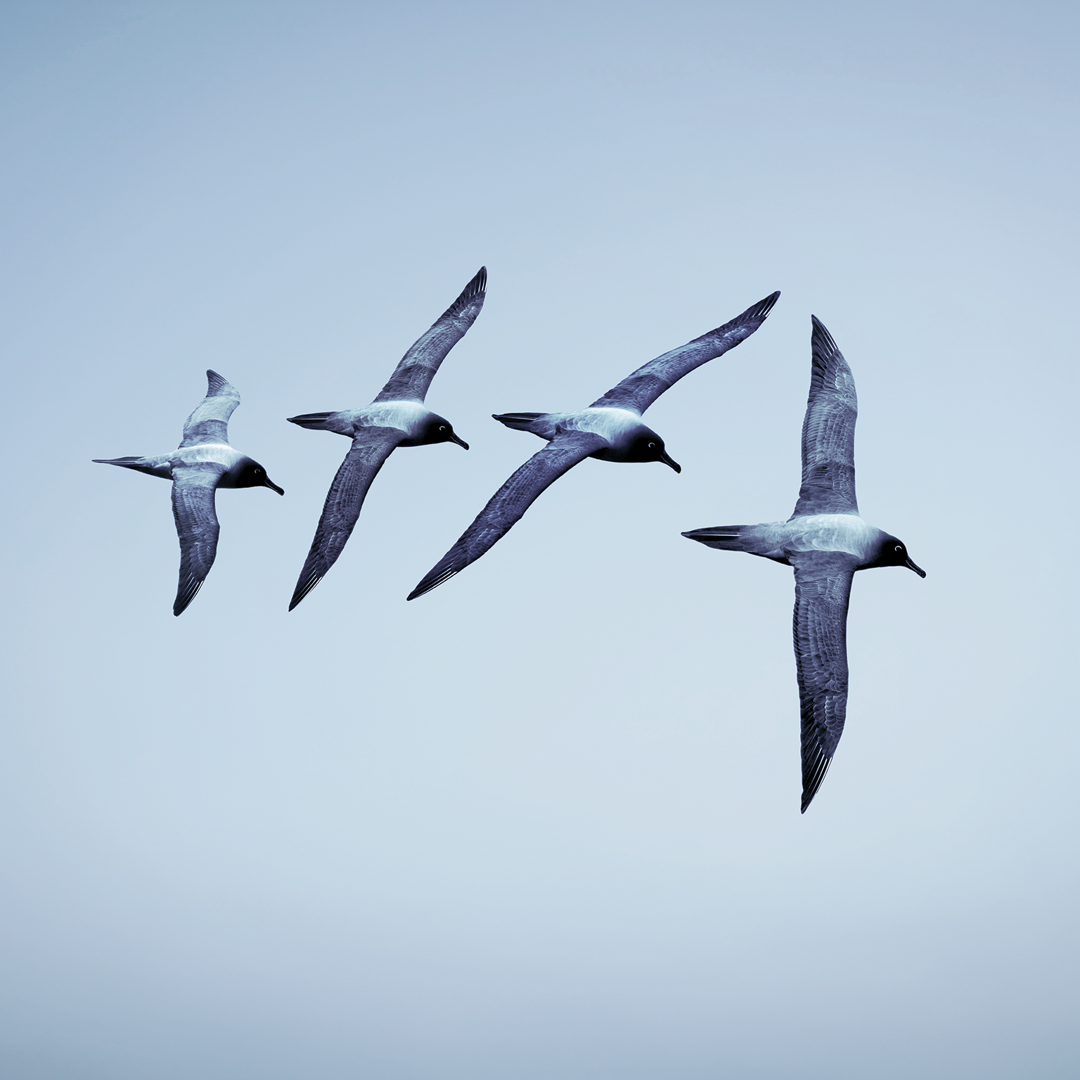 The boss factor: Making the world a better place through workplace relationships