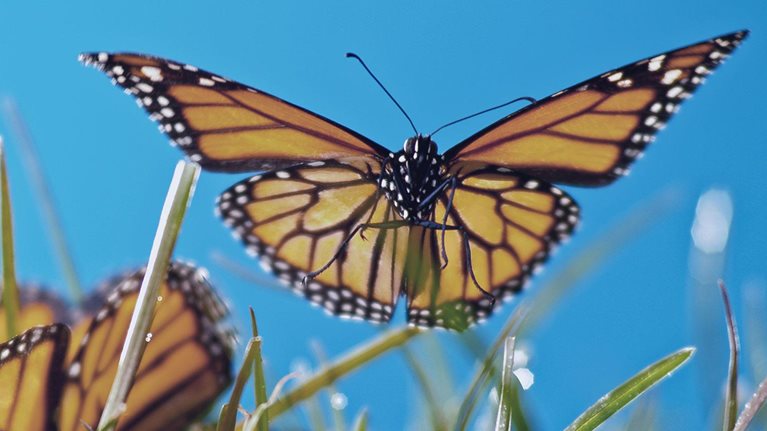 The forgotten step in leading large-scale change