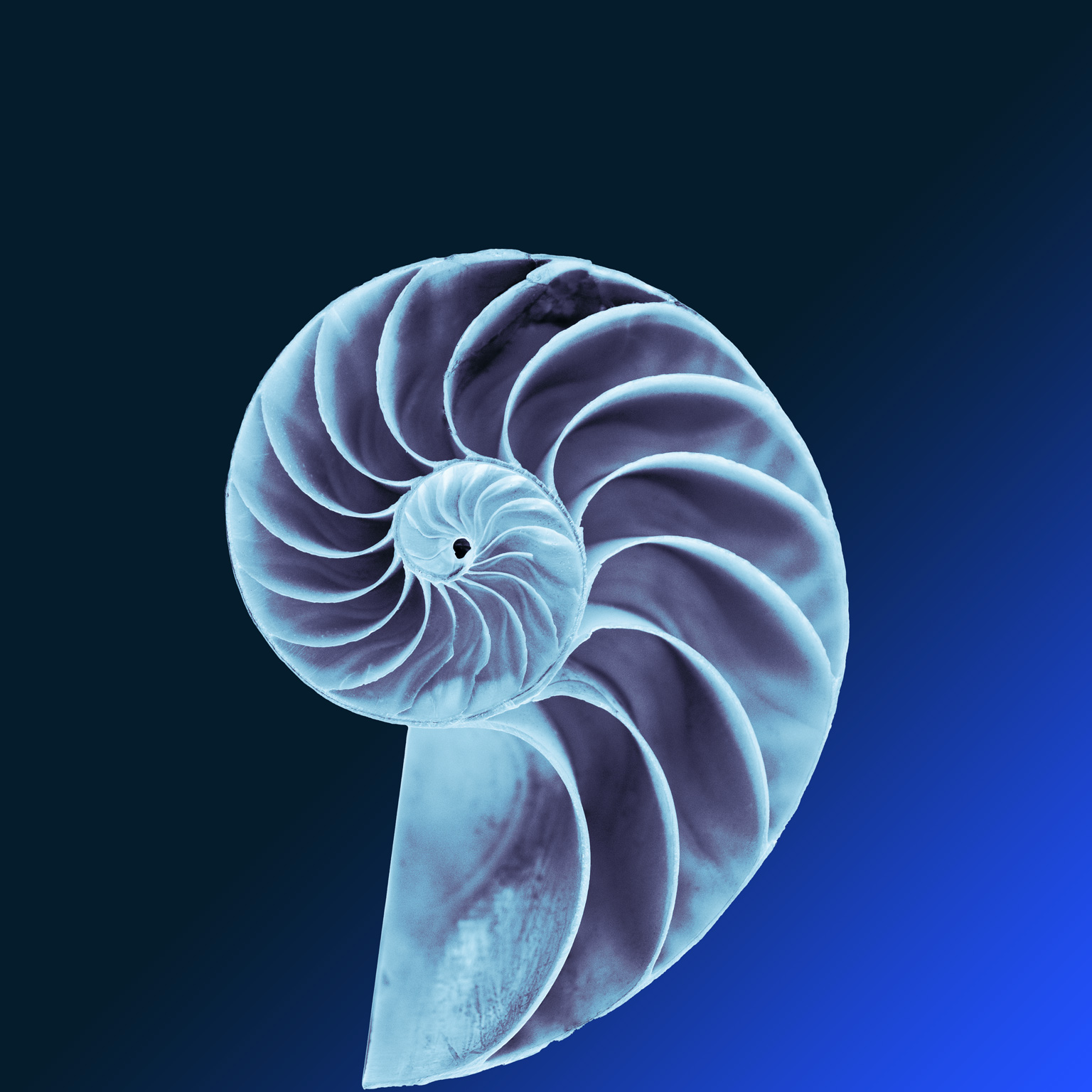 The key role of dynamic talent allocation in shaping the future of work