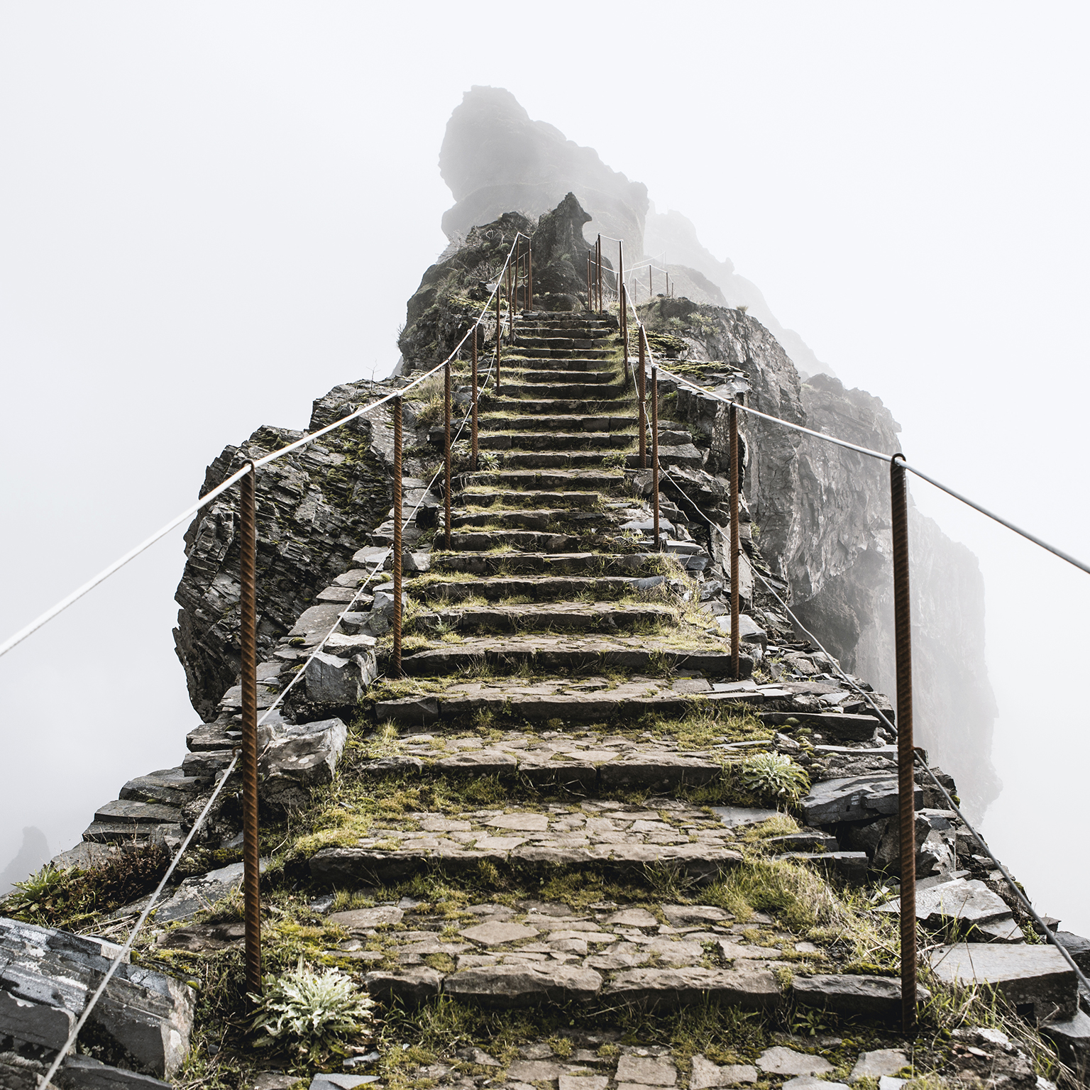 The search for purpose at work