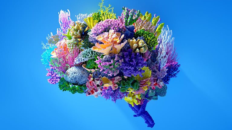 A vibrantly colored 3D image of various types of coral in the shape of a brain.