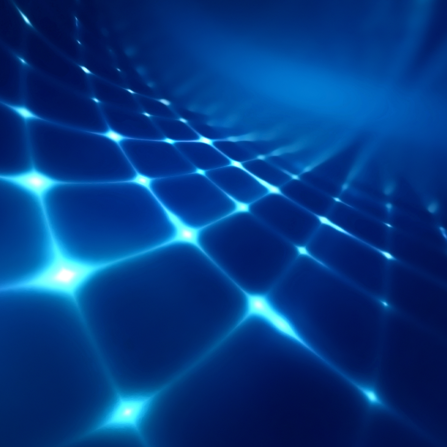 A net with illuminated points