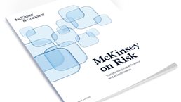 McKinsey on Risk, Issue 7