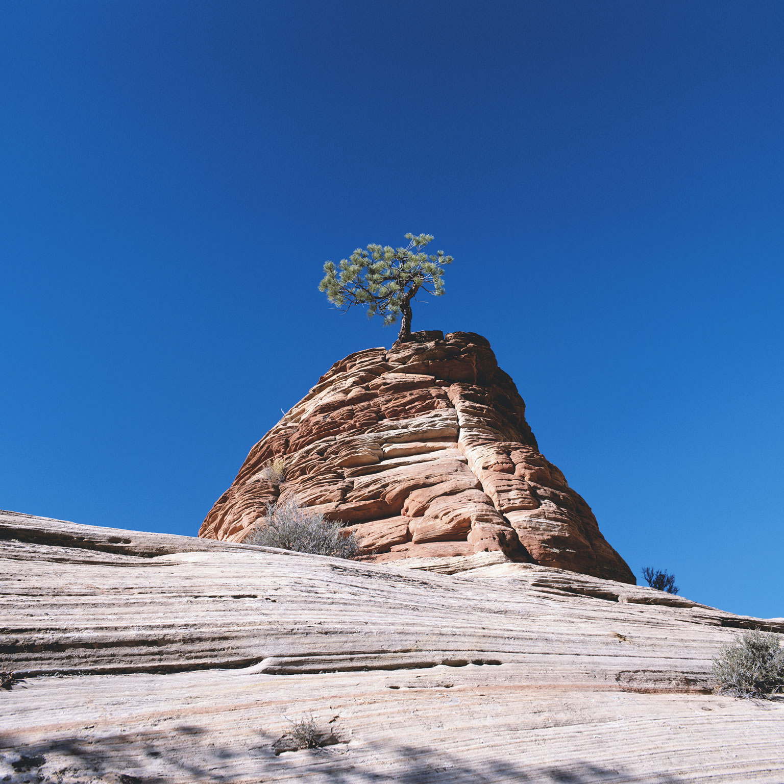 The resilience imperative: Succeeding in uncertain times