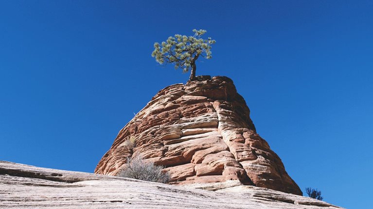 The resilience imperative: Succeeding in uncertain times