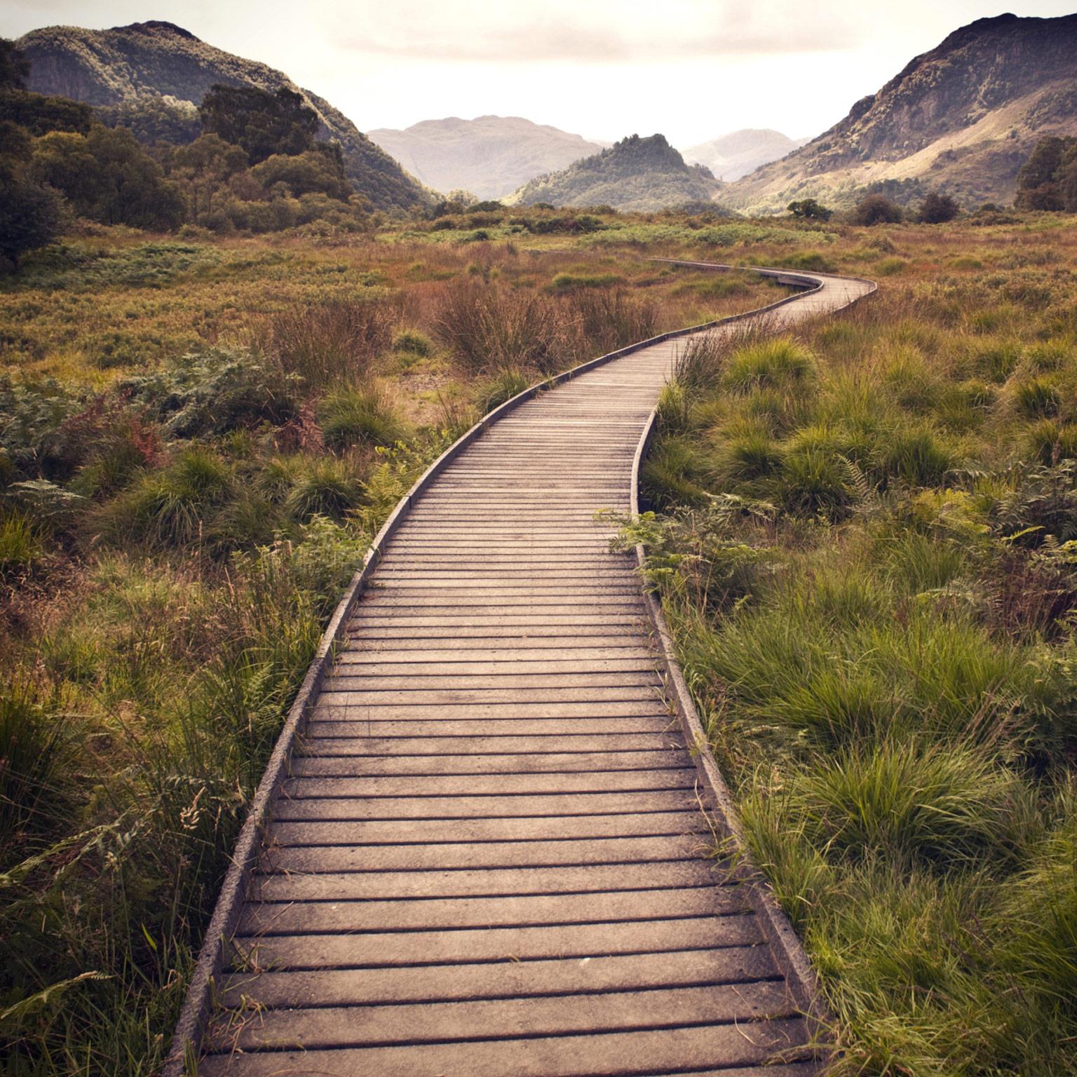 037 A long-term look at ROIC main image_Original