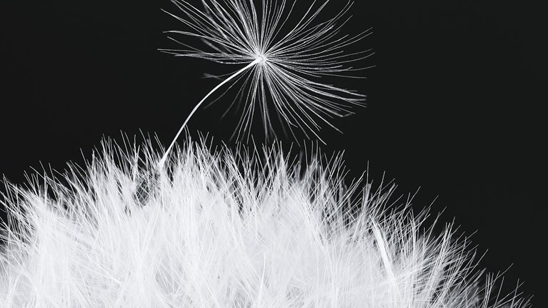 Achieving win-win spin-offs