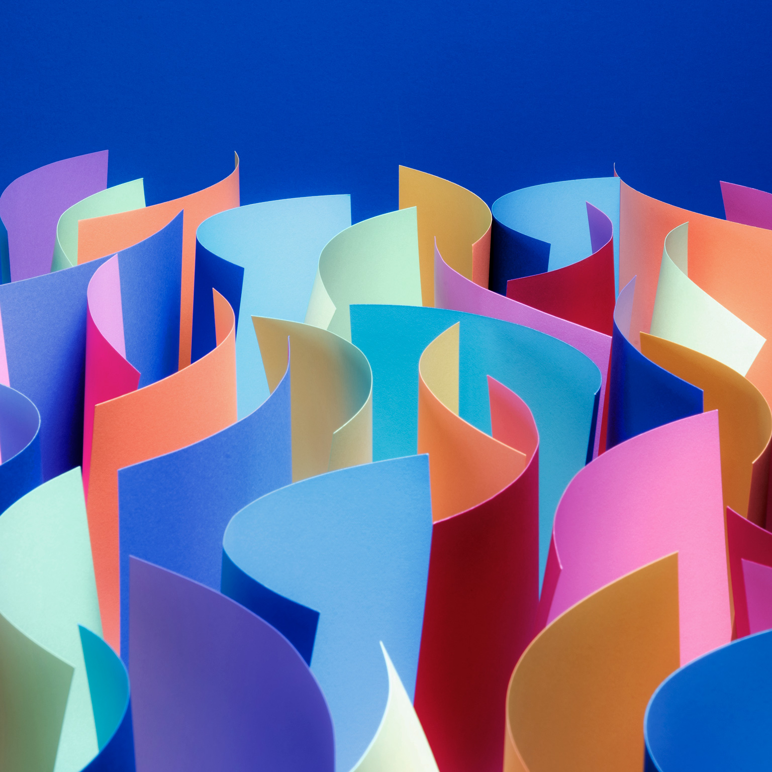 Pruning projects proactively