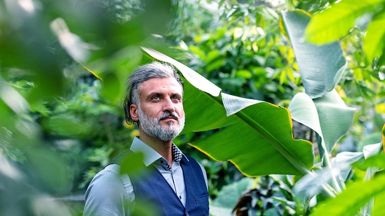 A portrait of mature man relaxing in greenhouse, green business concept
