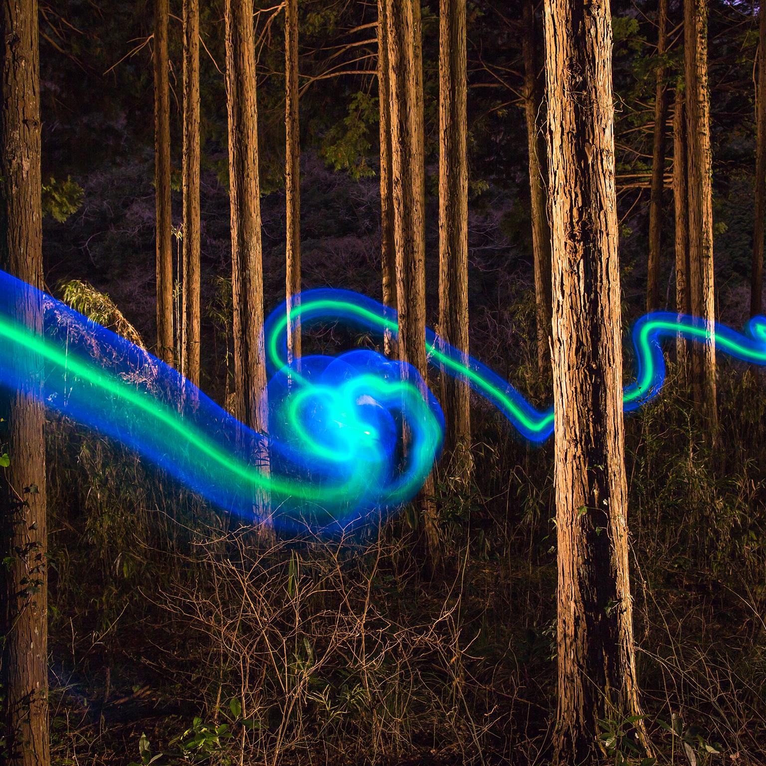 How_activist_investors_1536x1536_400_Standard