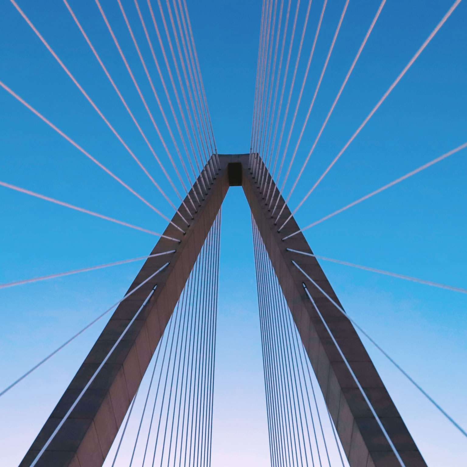 Suspension bridge pillar and cables