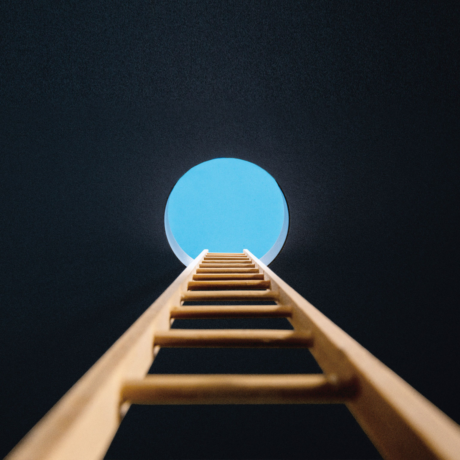 How new CEOs can manage for the future