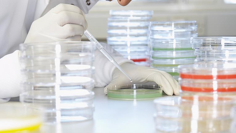 q15_web_roche-interview_103579108_1536x1536_Original