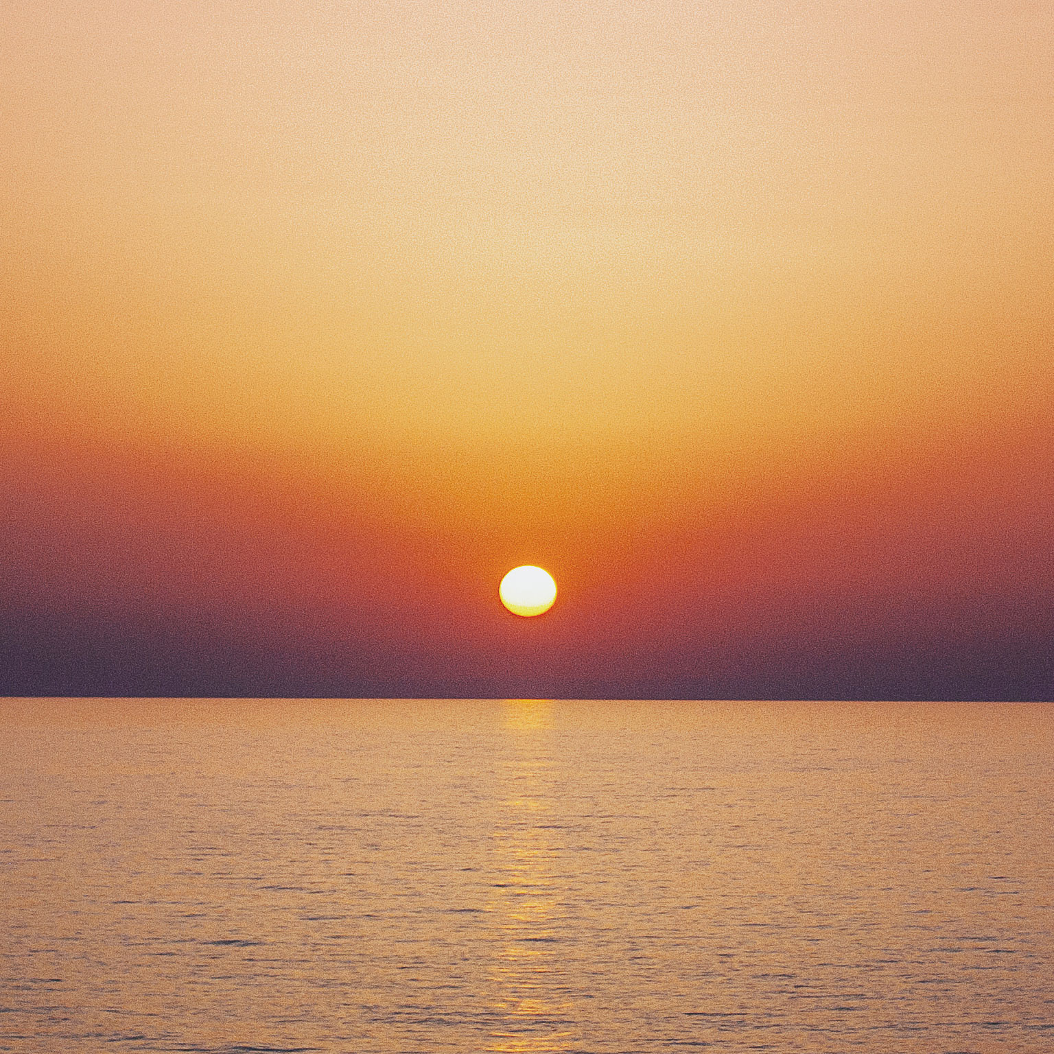 Strategic decisions: When can you trust your gut?