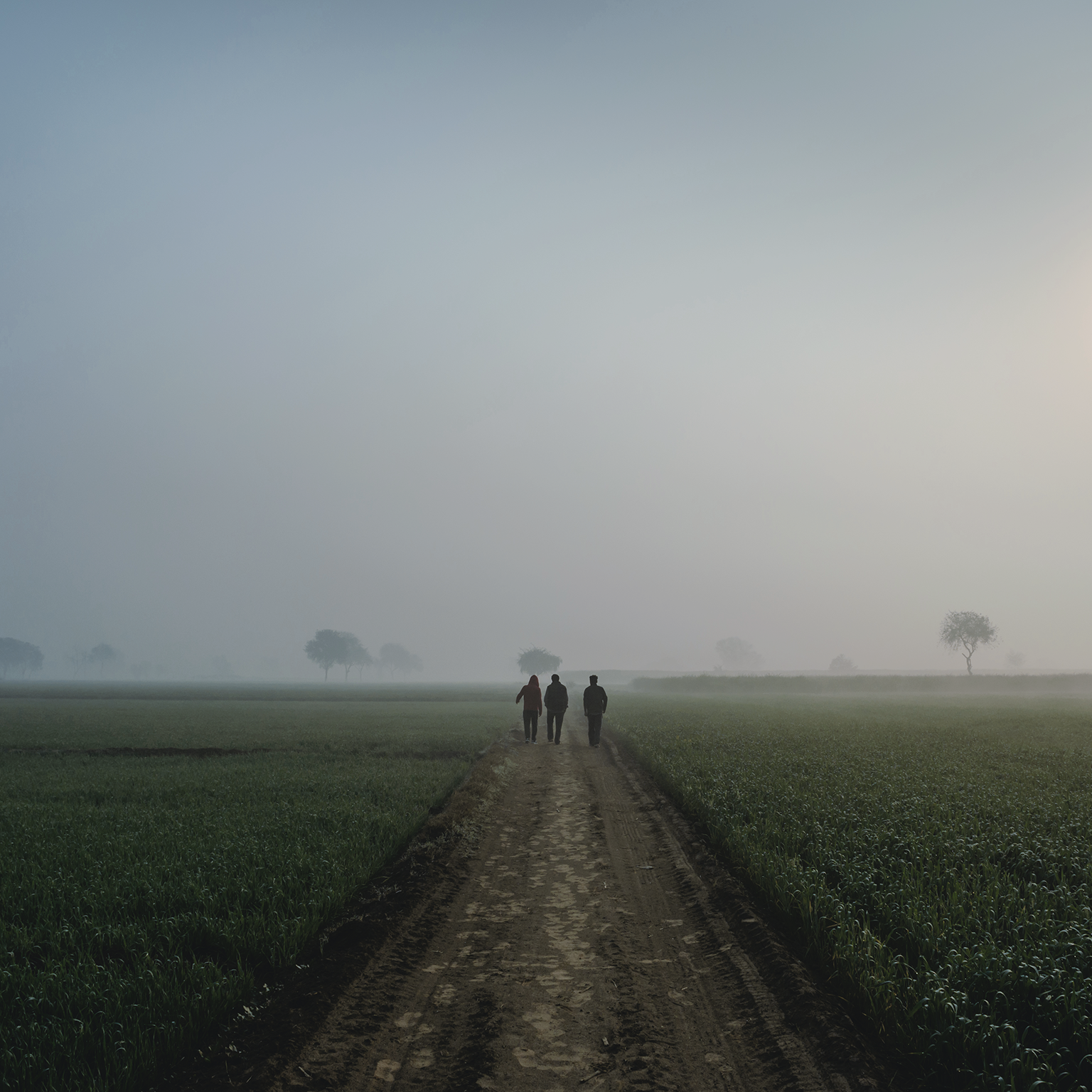 Rear view of friends walking on footpath amidst field against sky during sunrise