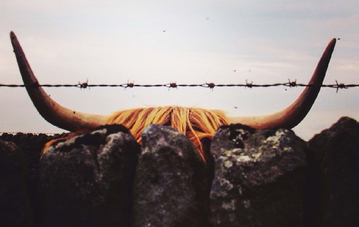 The Strategy and Corporate Finance blog