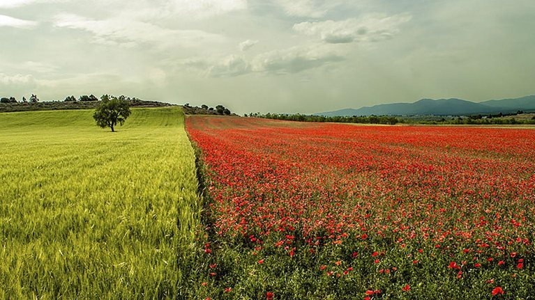 029 The value of share buybacks_mainimage_Original