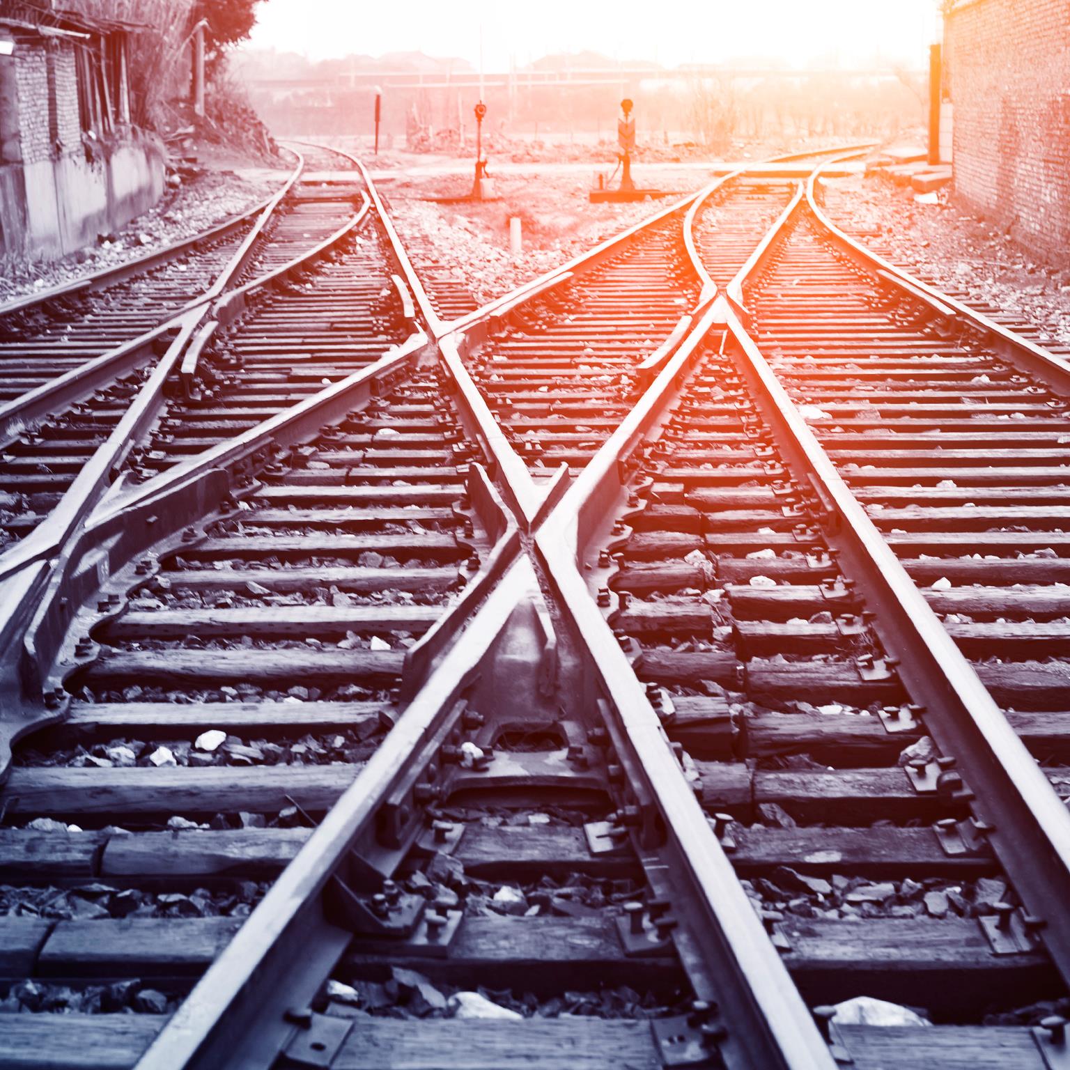 Voices-of-experience-1536x1536_Standard