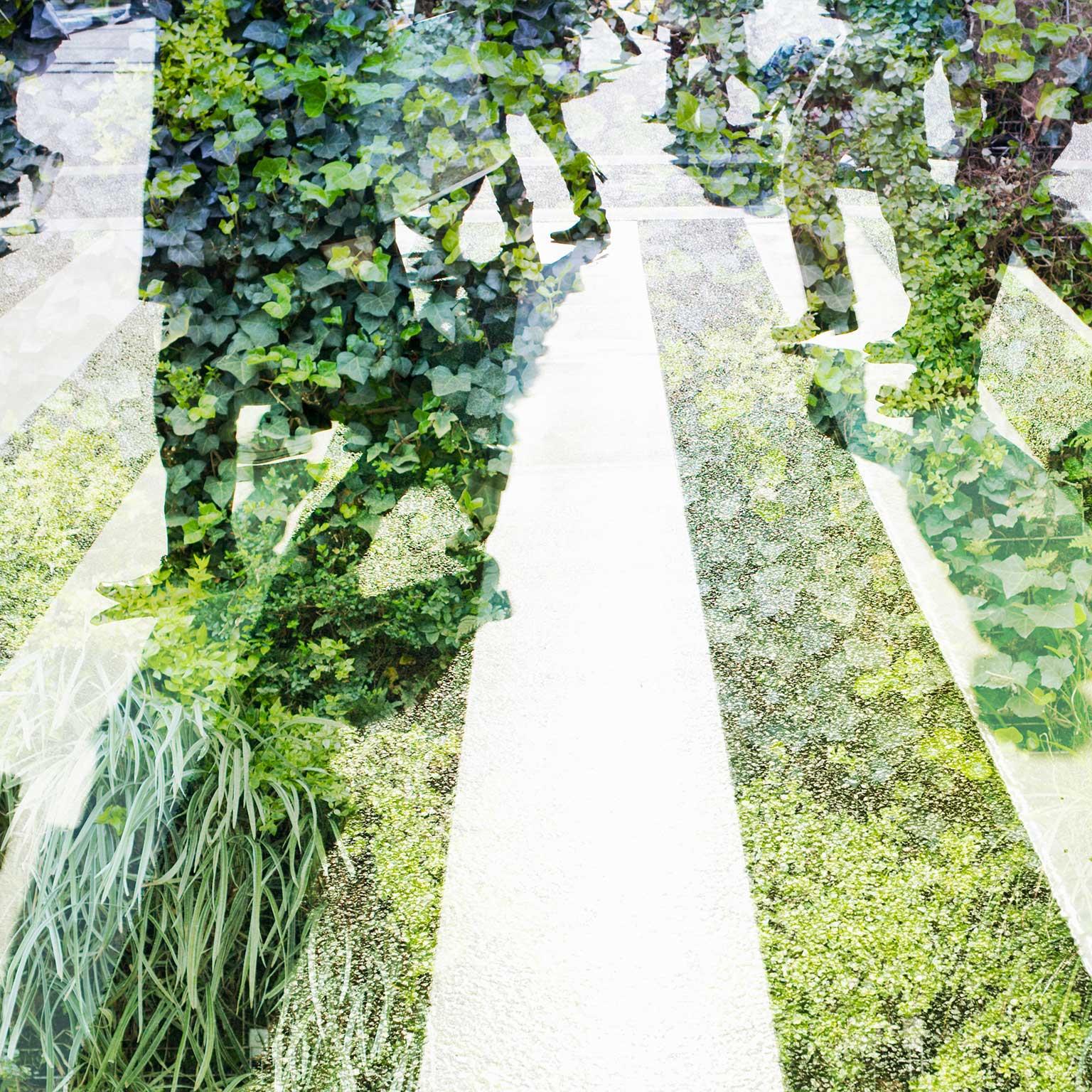 When-Sustainability-becomes-a-factor_1536x1536_200_Standard