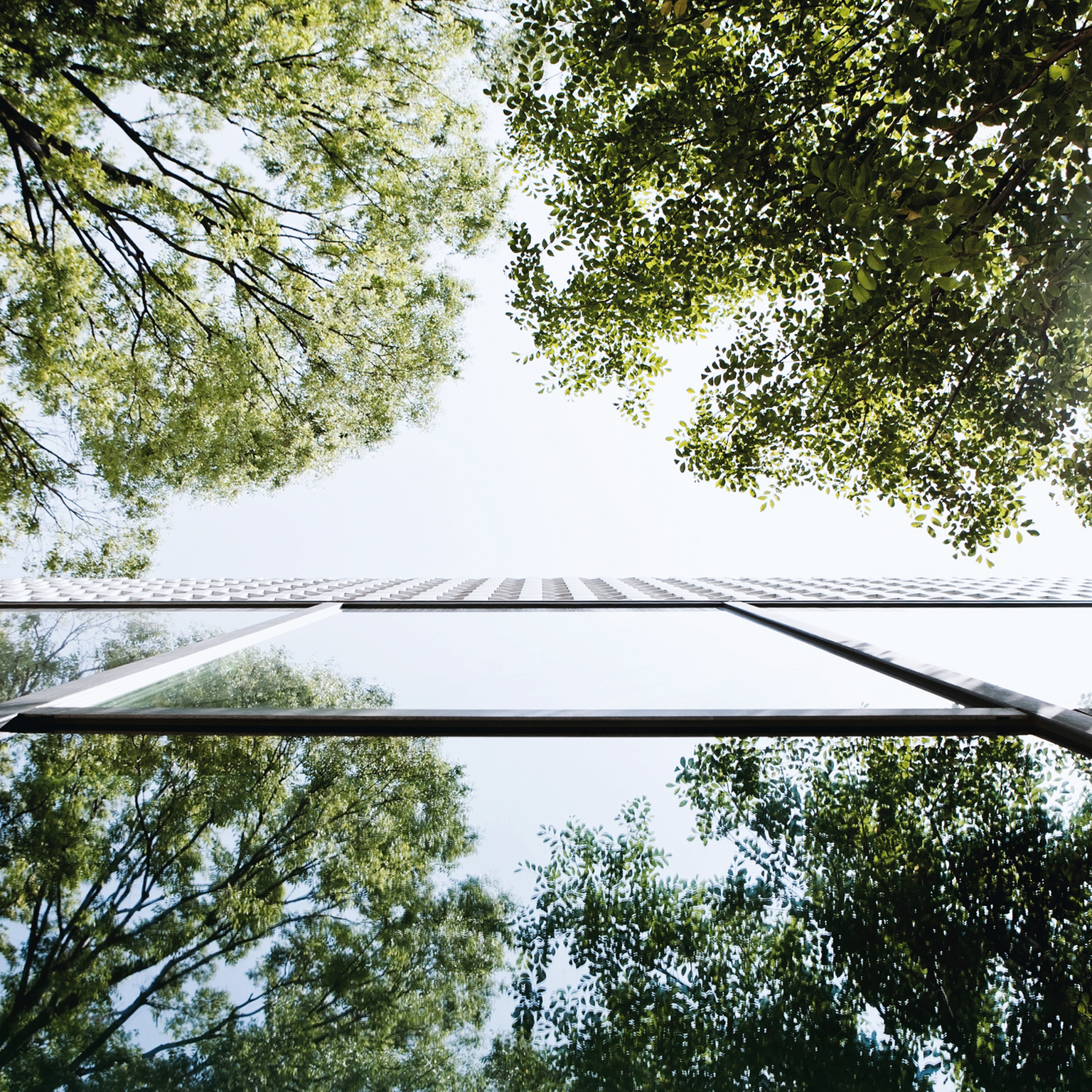 CEO Interview: Natixis and CDPQ invest in climate action