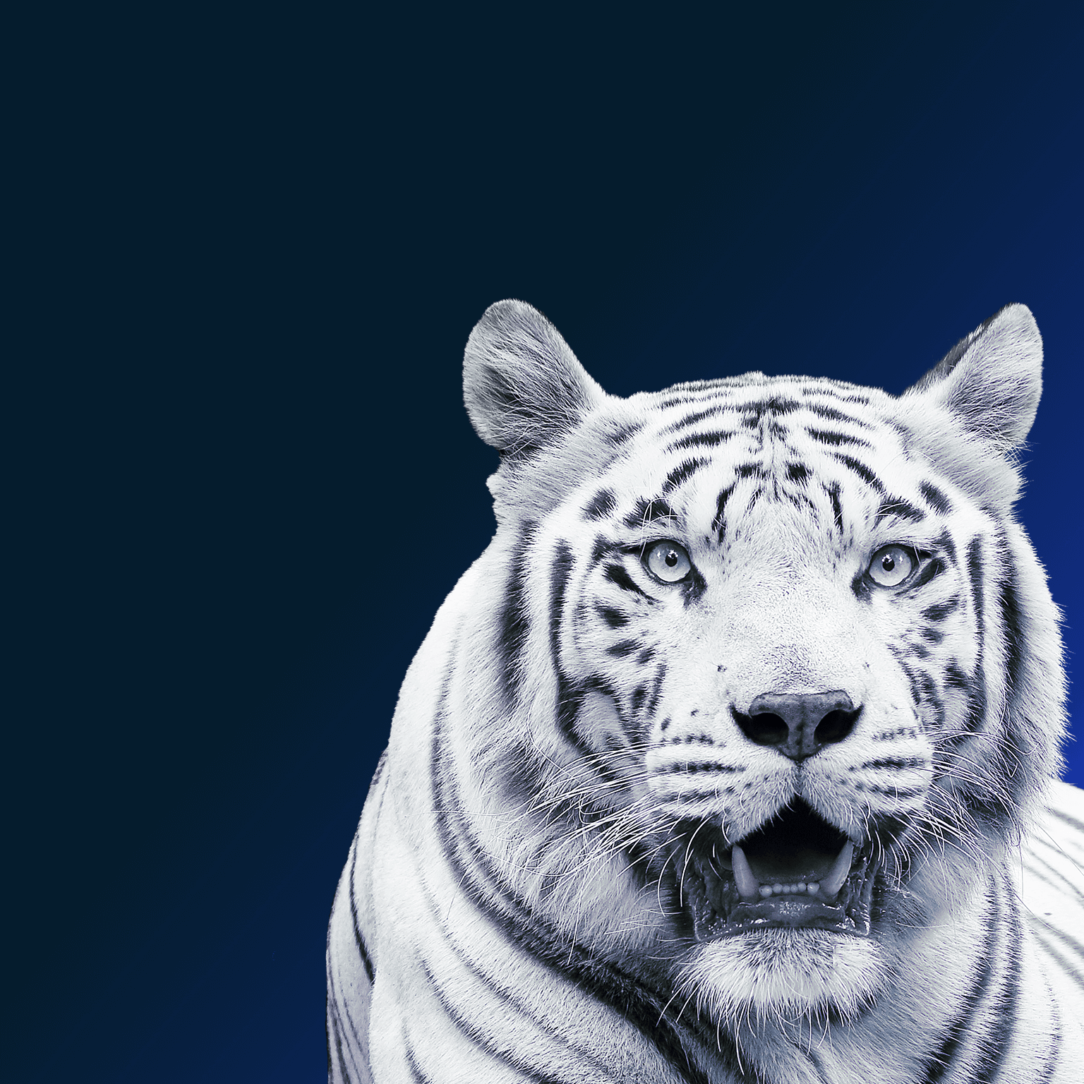 Climate risk and response in Asia