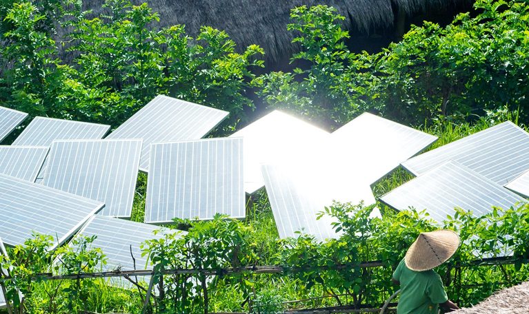 Solar panels in tropical garden