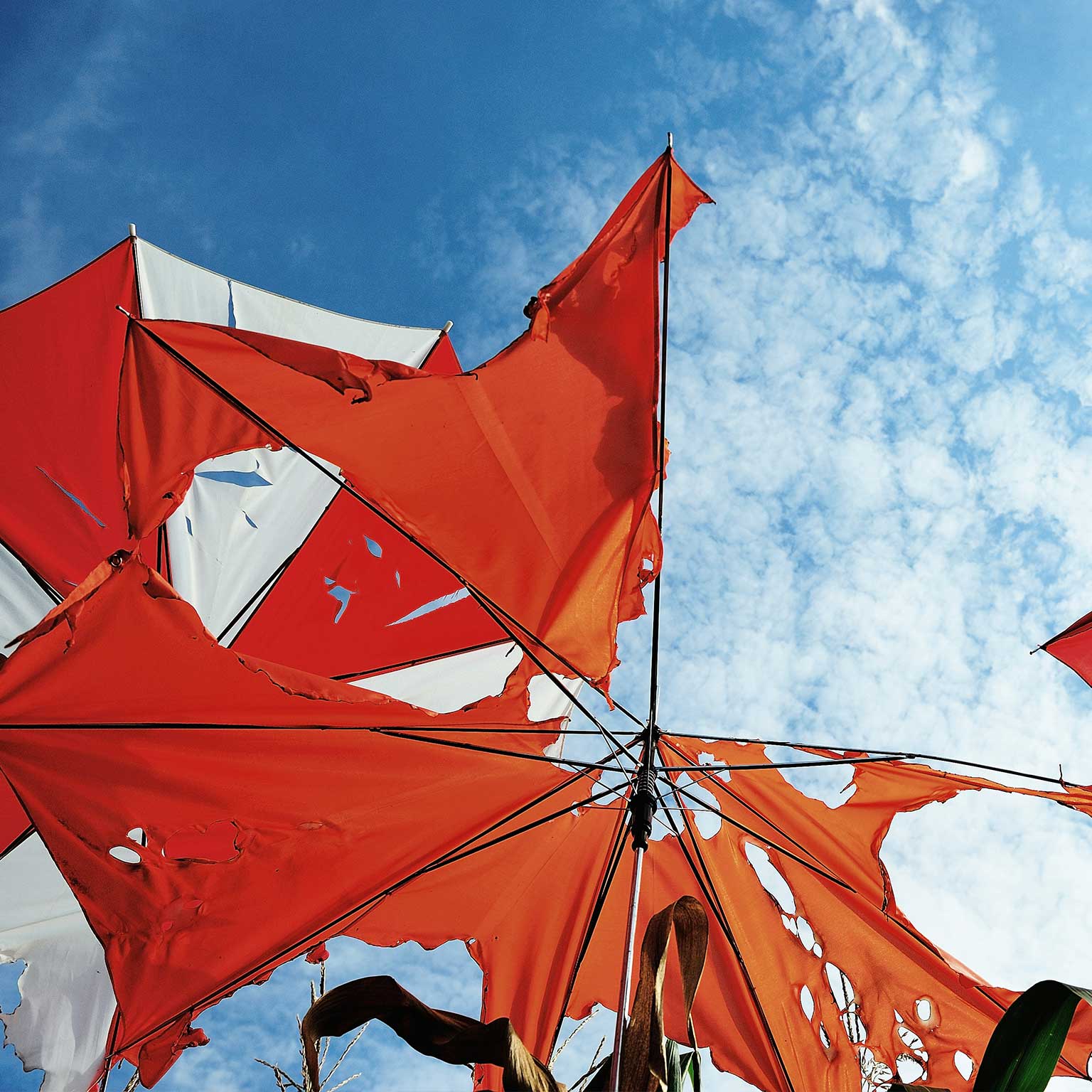 Confronting climate risk